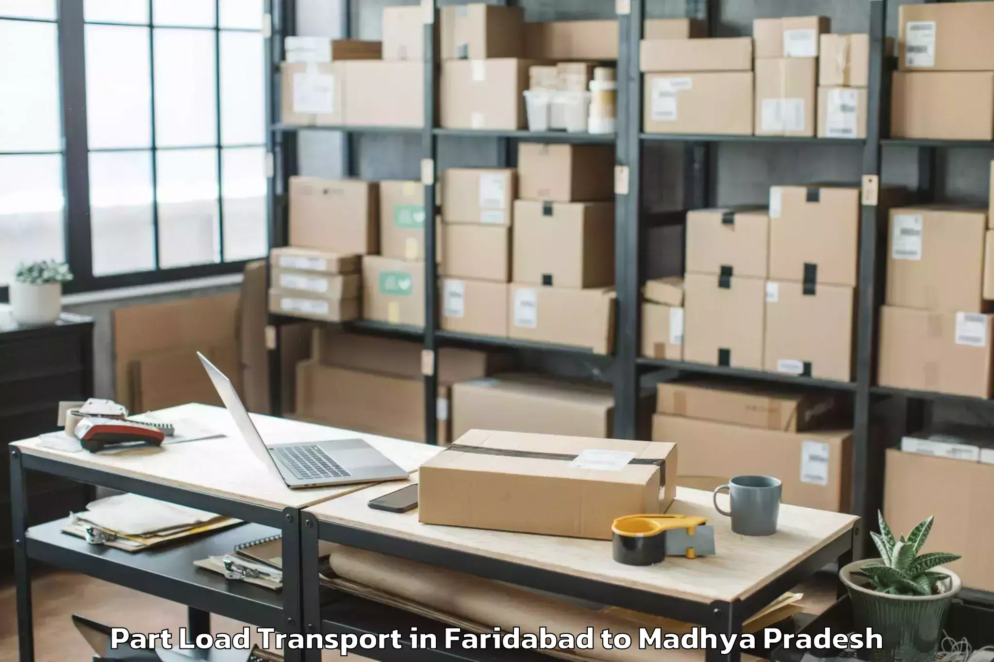 Expert Faridabad to Budni Part Load Transport